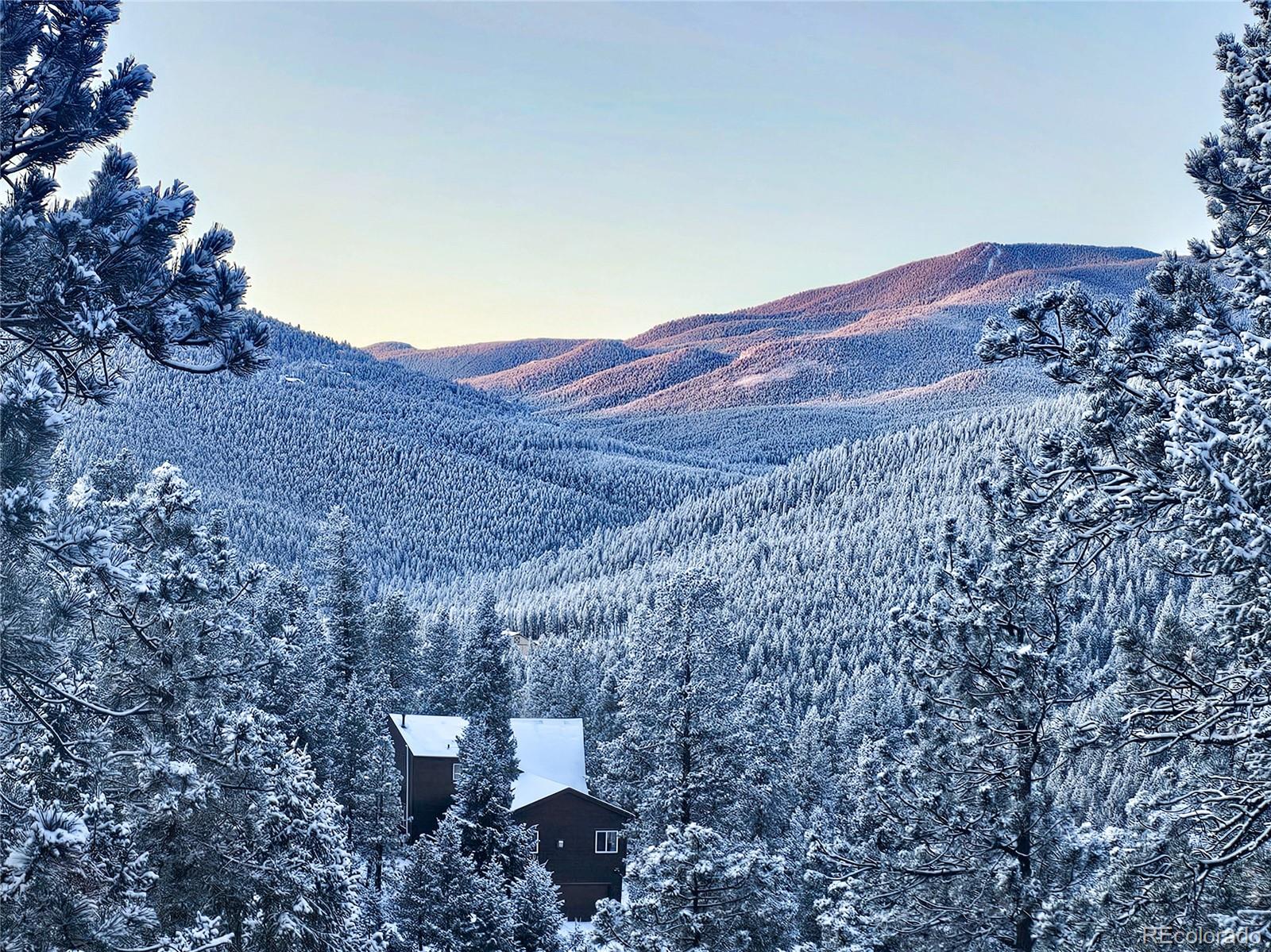 MLS Image #3 for 32783  lodgepole circle,evergreen, Colorado