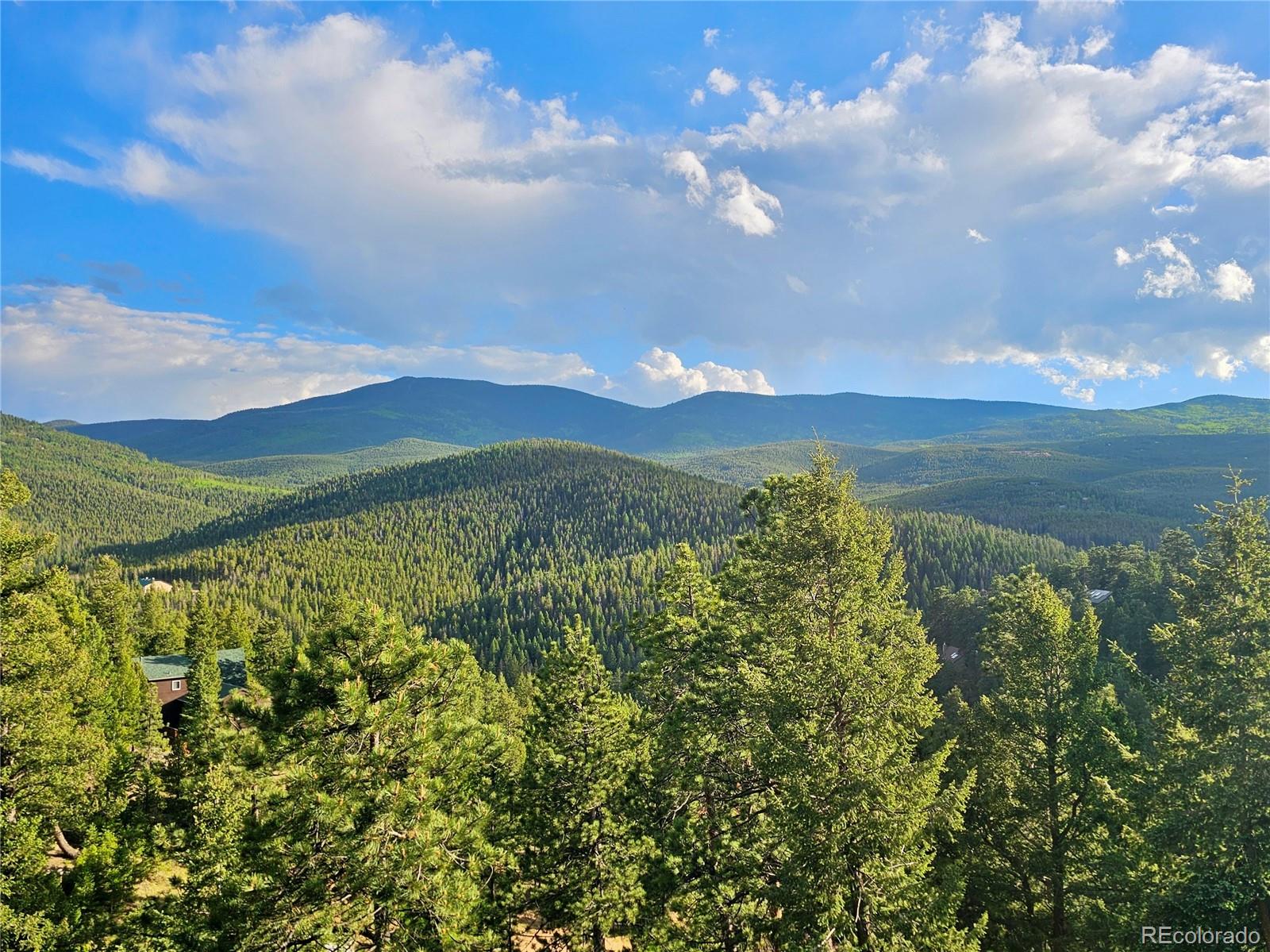 MLS Image #30 for 32783  lodgepole circle,evergreen, Colorado