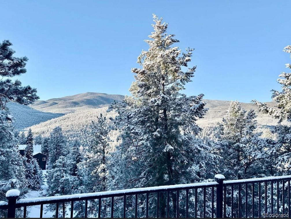 MLS Image #31 for 32783  lodgepole circle,evergreen, Colorado