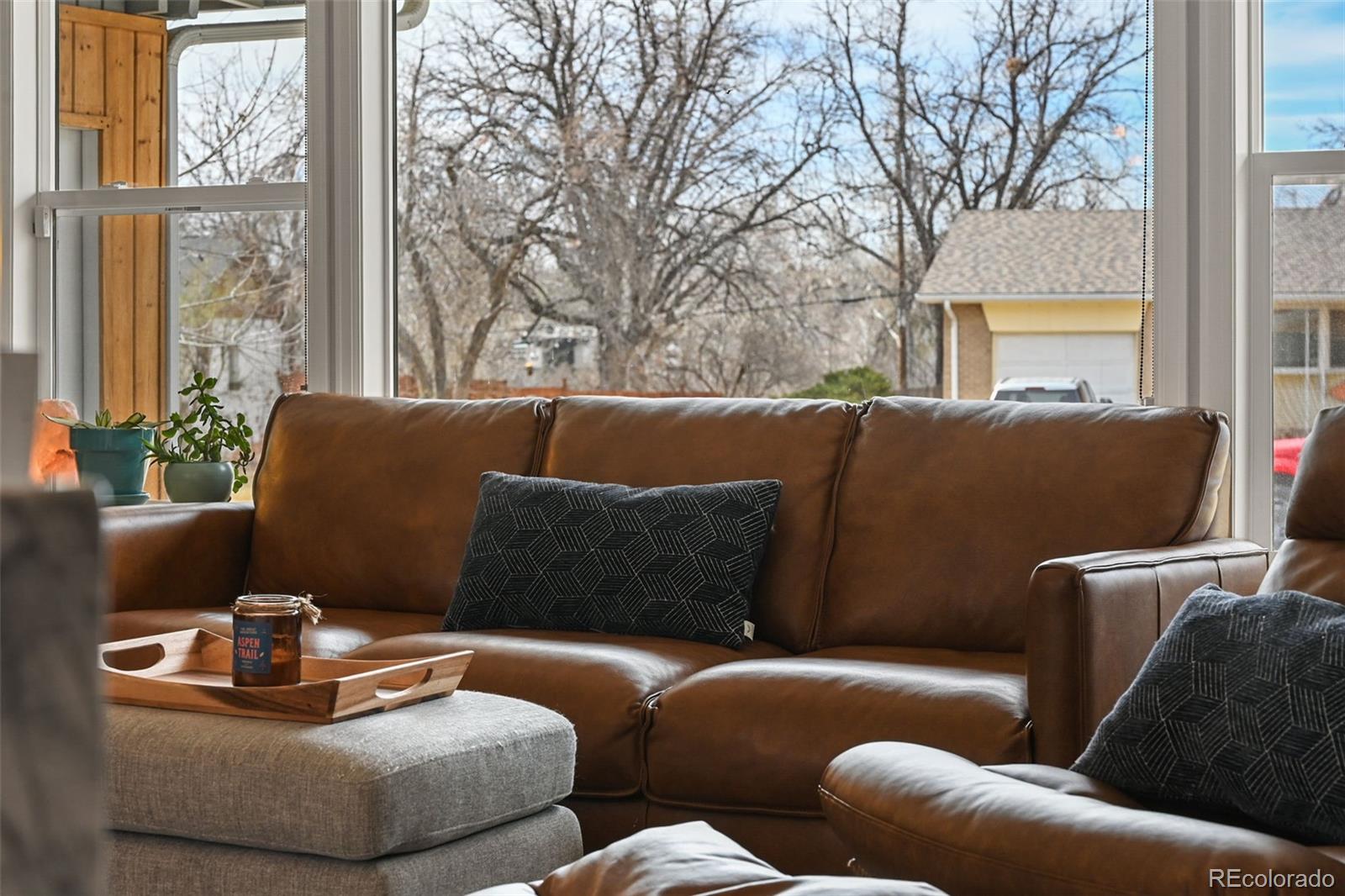 MLS Image #7 for 323 e briarwood drive,centennial, Colorado