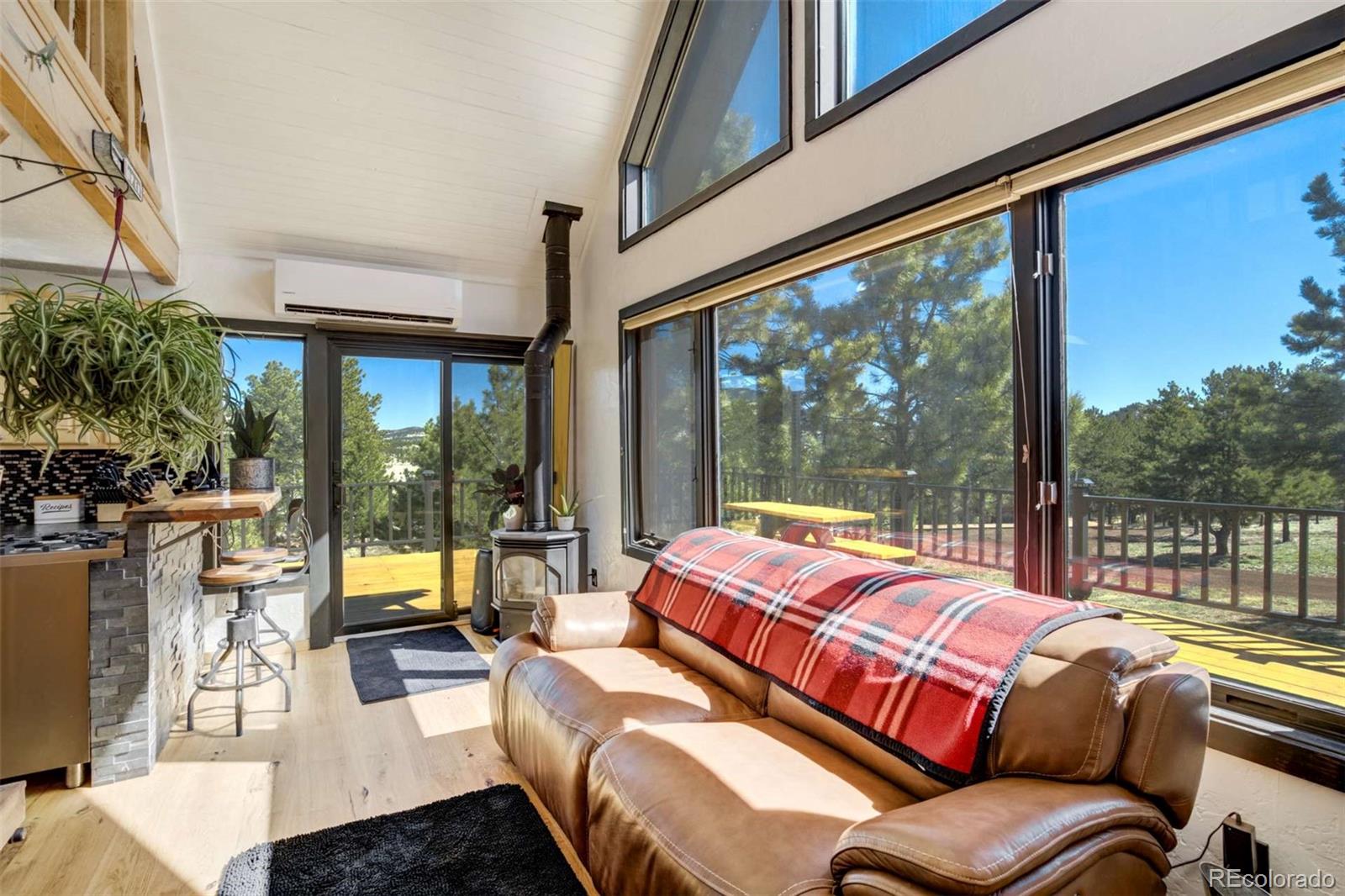 MLS Image #7 for 1726  county road 104 ,guffey, Colorado