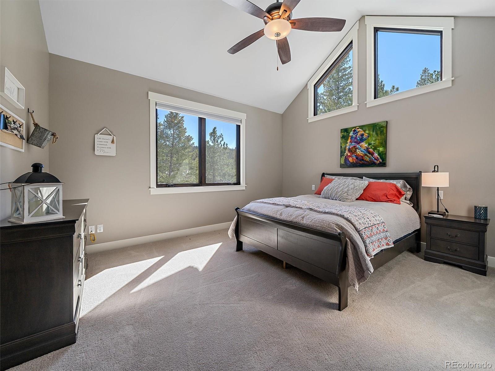 MLS Image #32 for 6273  little cub creek road,evergreen, Colorado