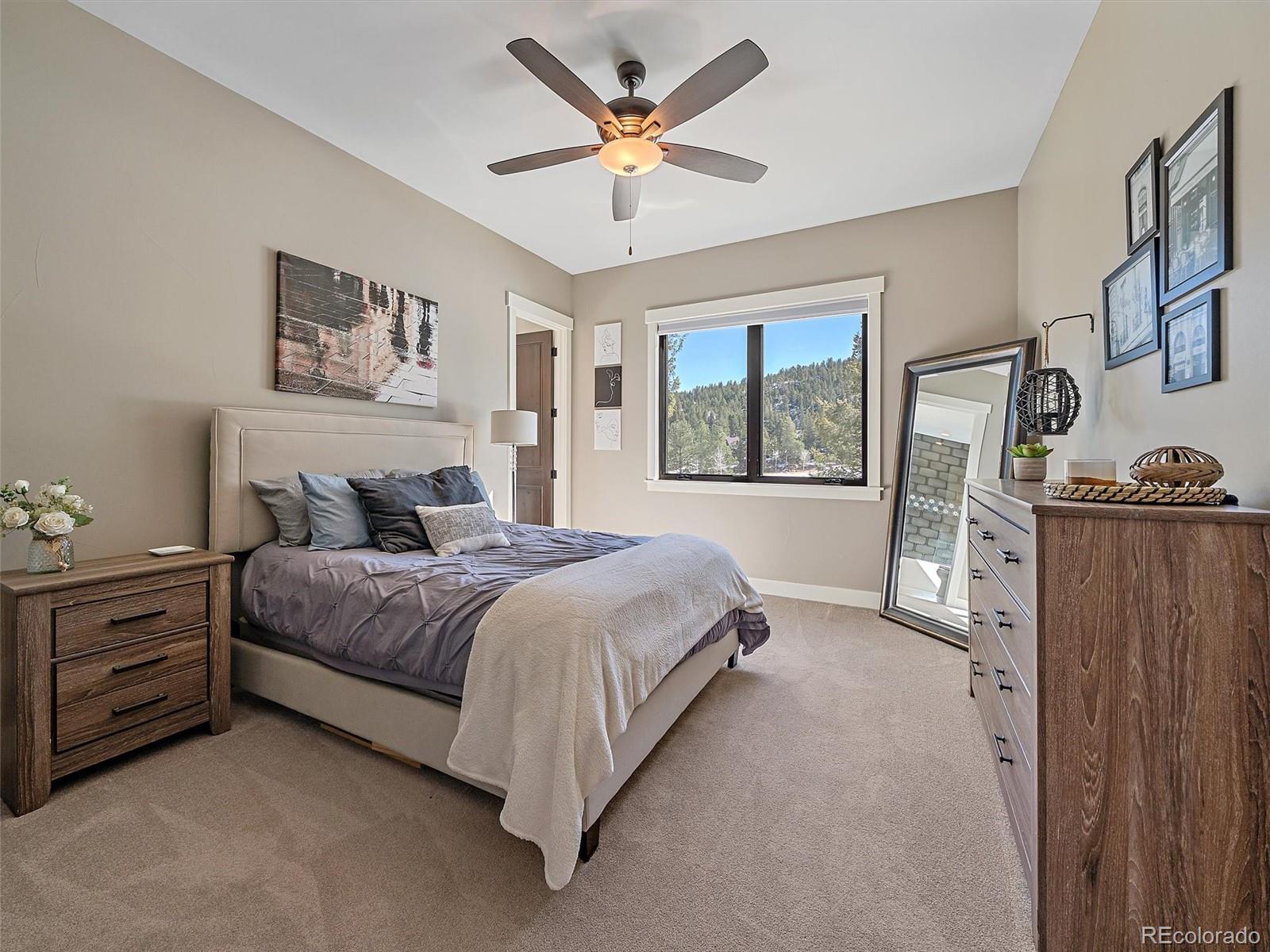 MLS Image #43 for 6273  little cub creek road,evergreen, Colorado