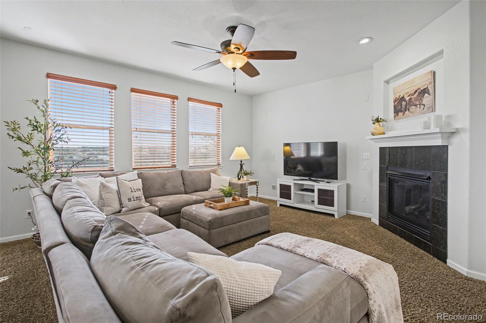 MLS Image #18 for 11952  pine top street,parker, Colorado