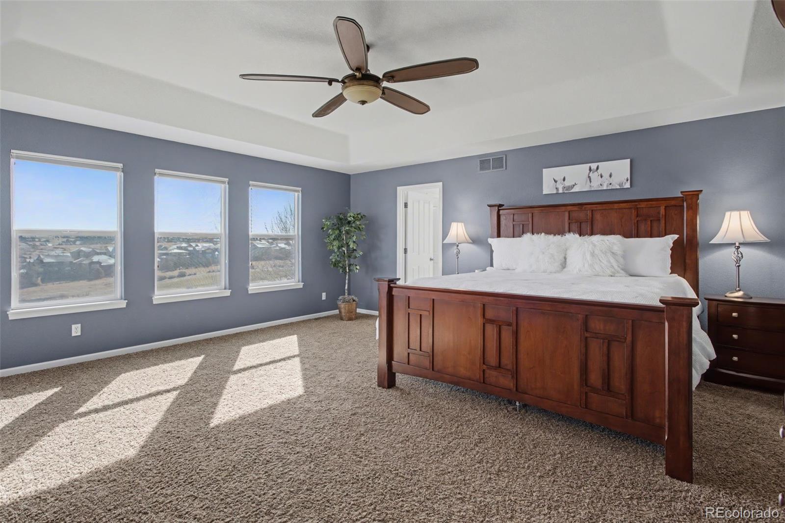 MLS Image #22 for 11952  pine top street,parker, Colorado