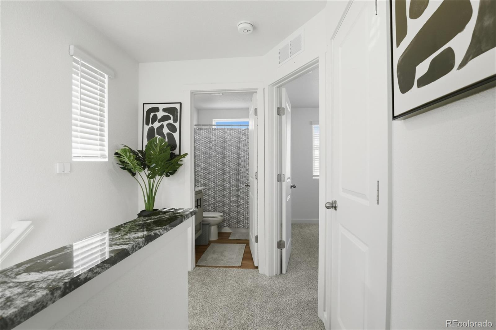 MLS Image #20 for 5025 n yampa street,denver, Colorado