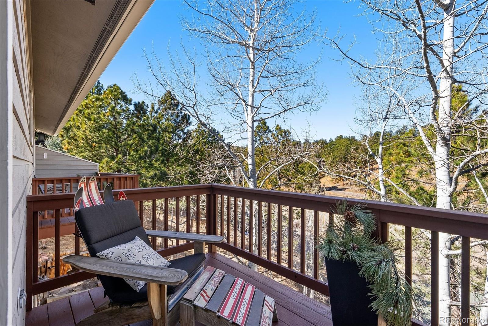 MLS Image #22 for 29895  spruce road,evergreen, Colorado
