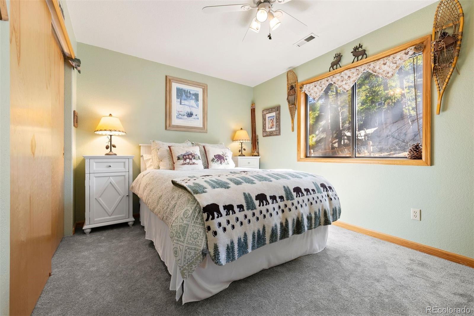 MLS Image #27 for 29895  spruce road,evergreen, Colorado