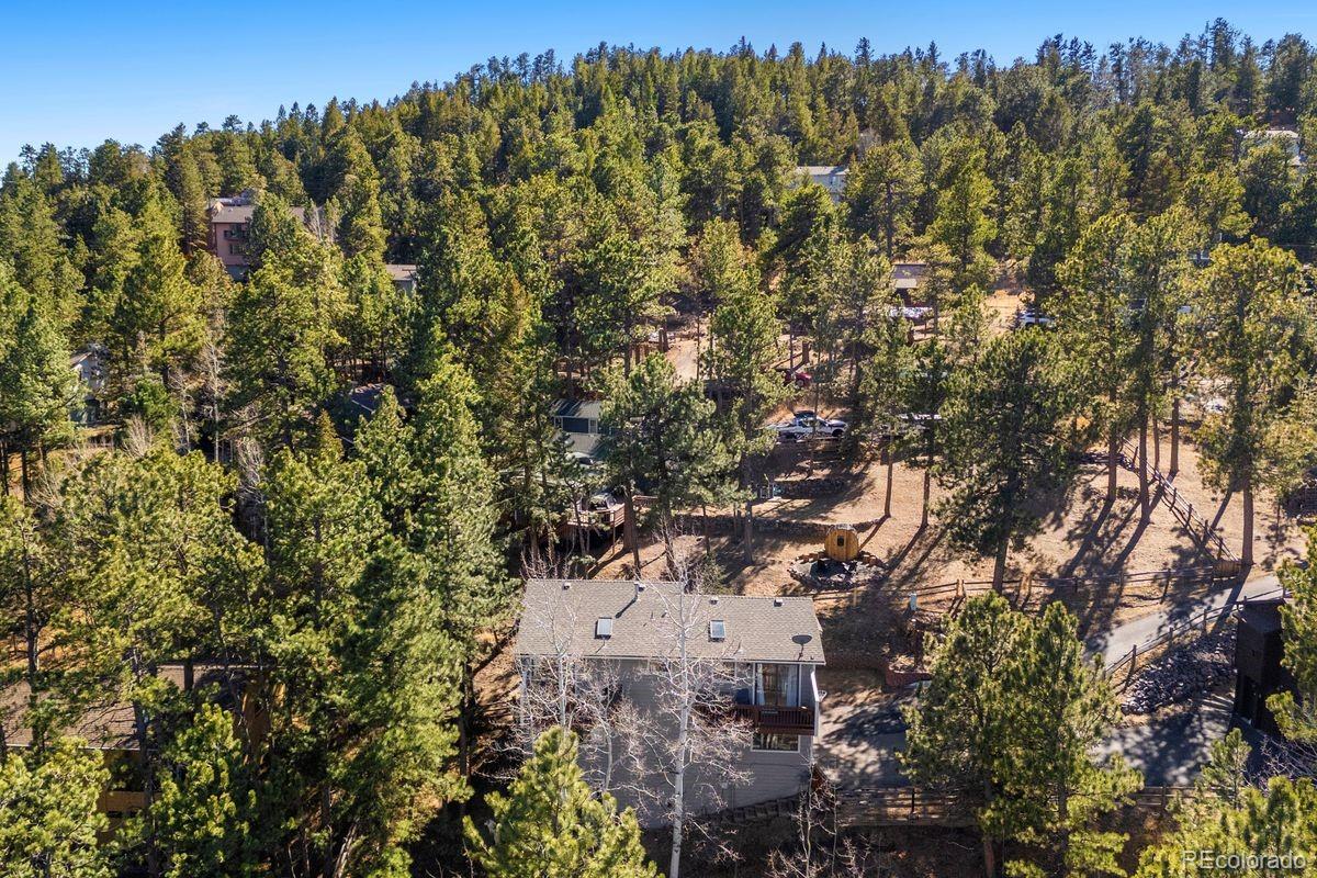 MLS Image #42 for 29895  spruce road,evergreen, Colorado