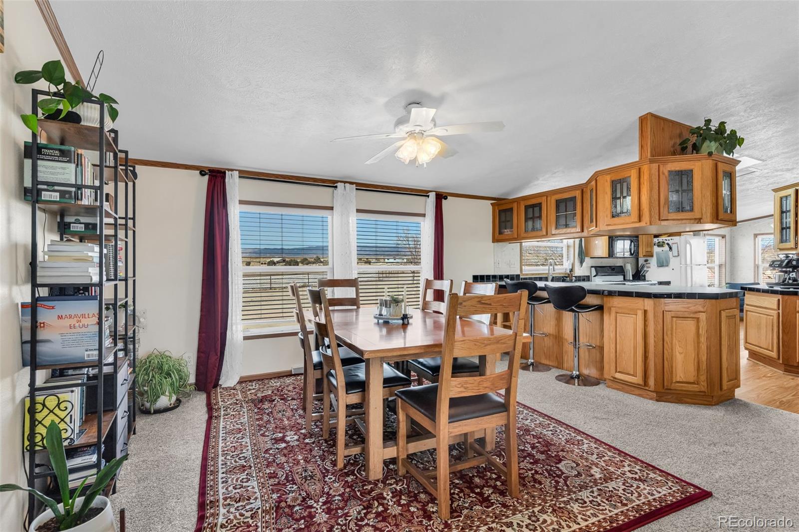 MLS Image #10 for 340  12th street,penrose, Colorado