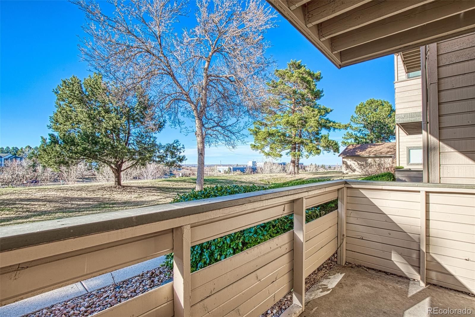 MLS Image #24 for 410  zang street,lakewood, Colorado