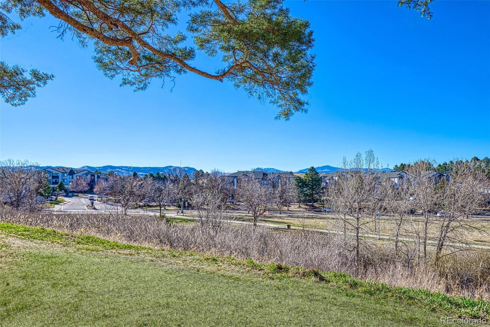 MLS Image #4 for 410  zang street,lakewood, Colorado