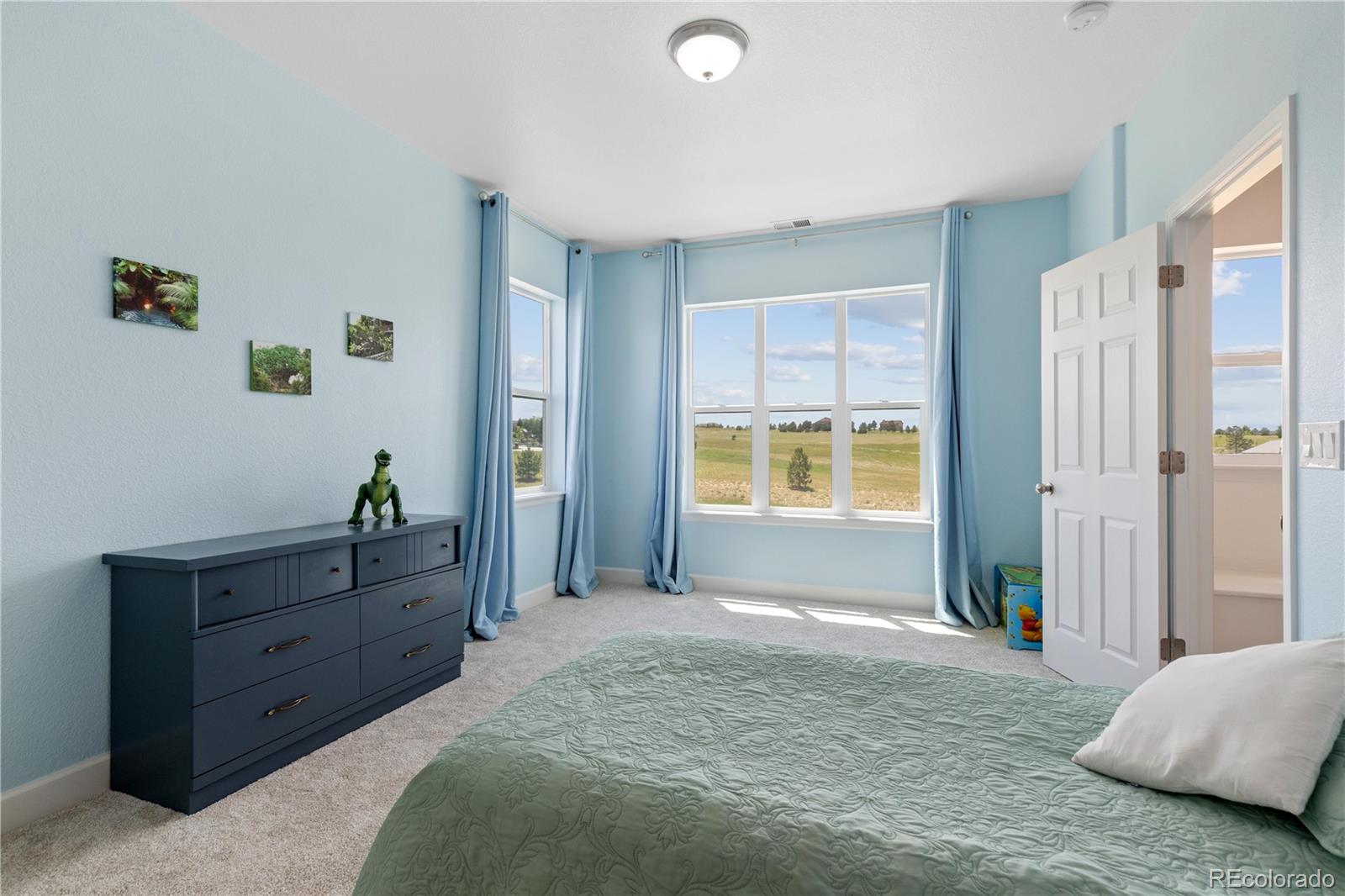 MLS Image #26 for 2490  sagebrush street,parker, Colorado
