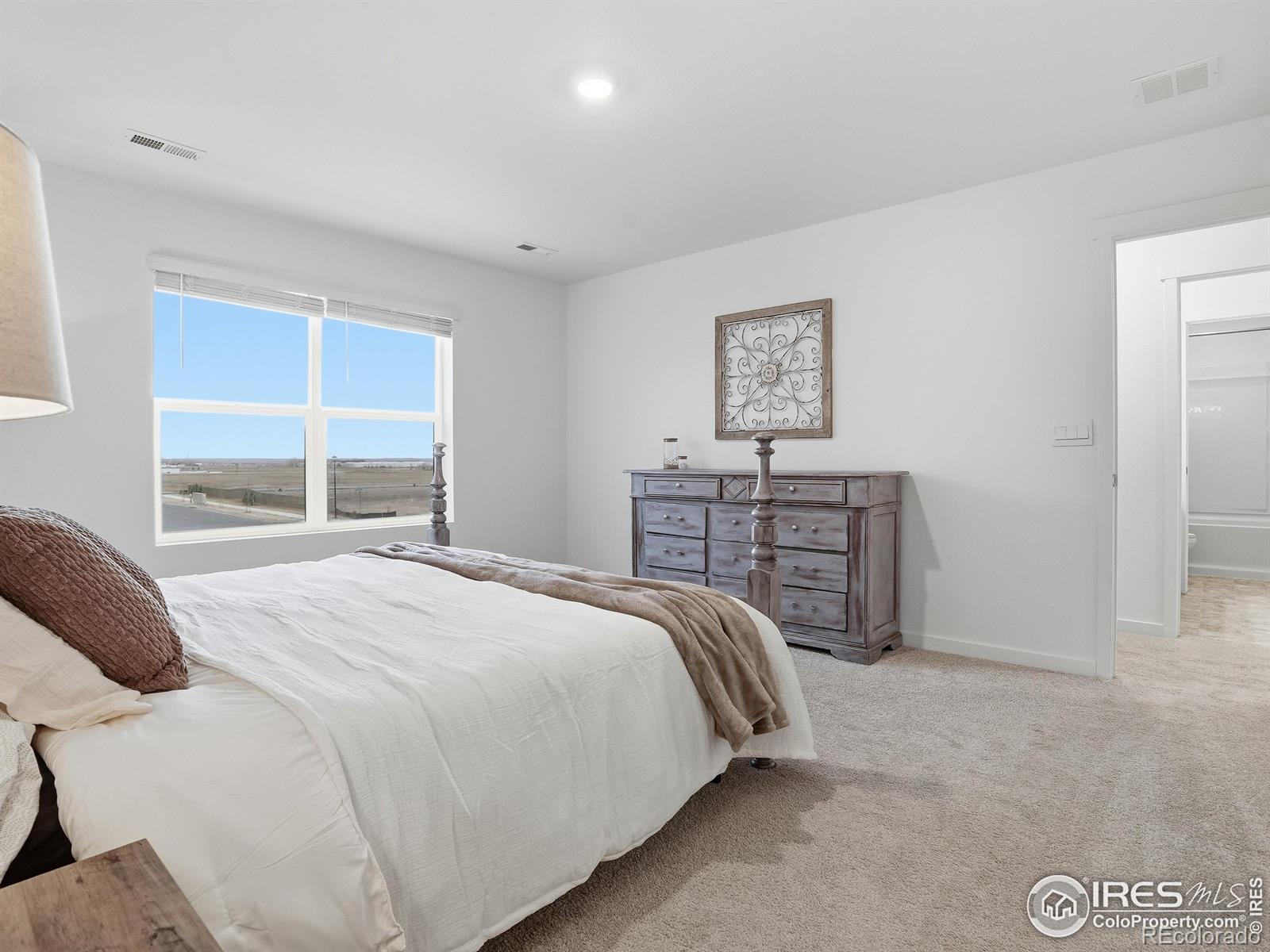 MLS Image #26 for 821  elias tarn drive,severance, Colorado