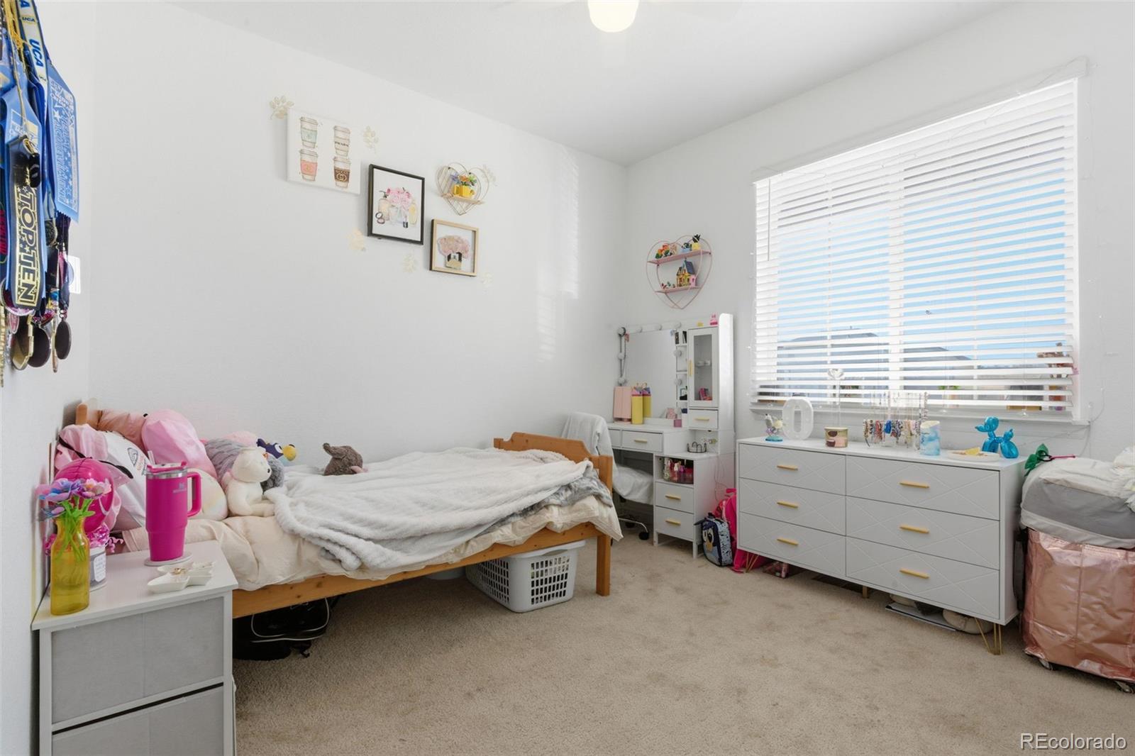 MLS Image #11 for 3322  bella luna drive,pueblo, Colorado