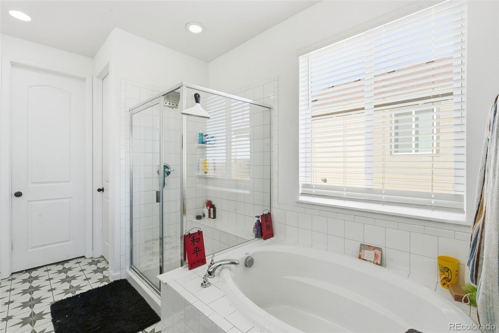 MLS Image #9 for 3322  bella luna drive,pueblo, Colorado