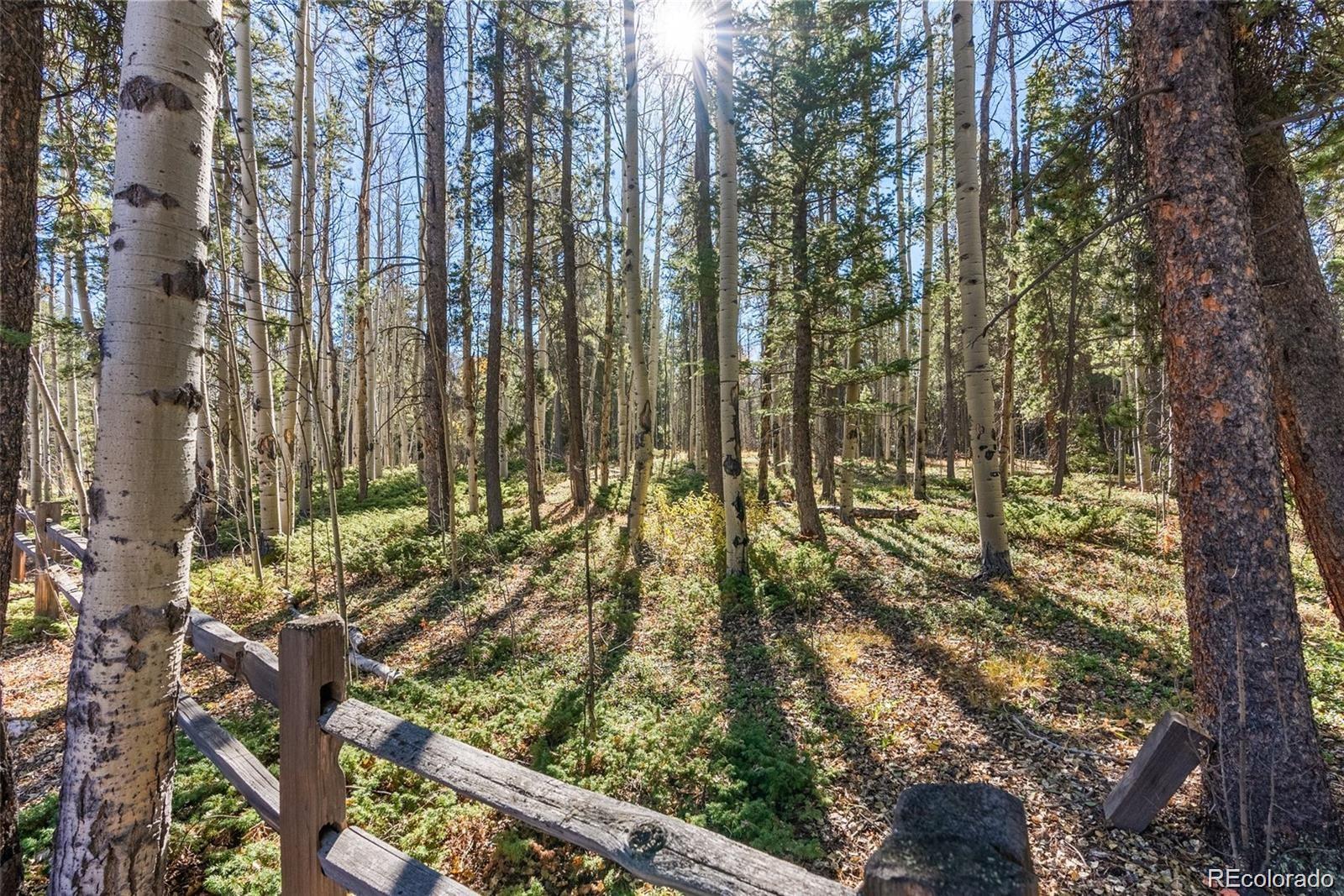 MLS Image #43 for 591  creekwood trail,black hawk, Colorado