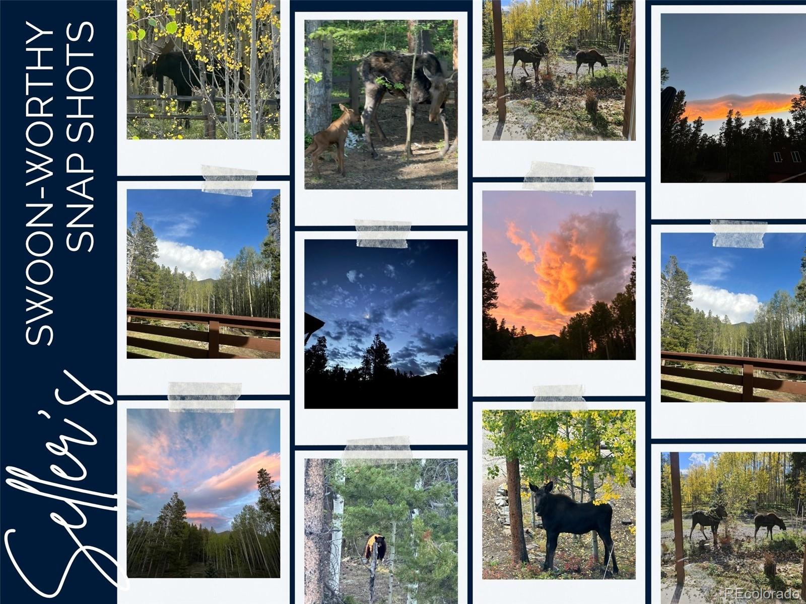 MLS Image #44 for 591  creekwood trail,black hawk, Colorado