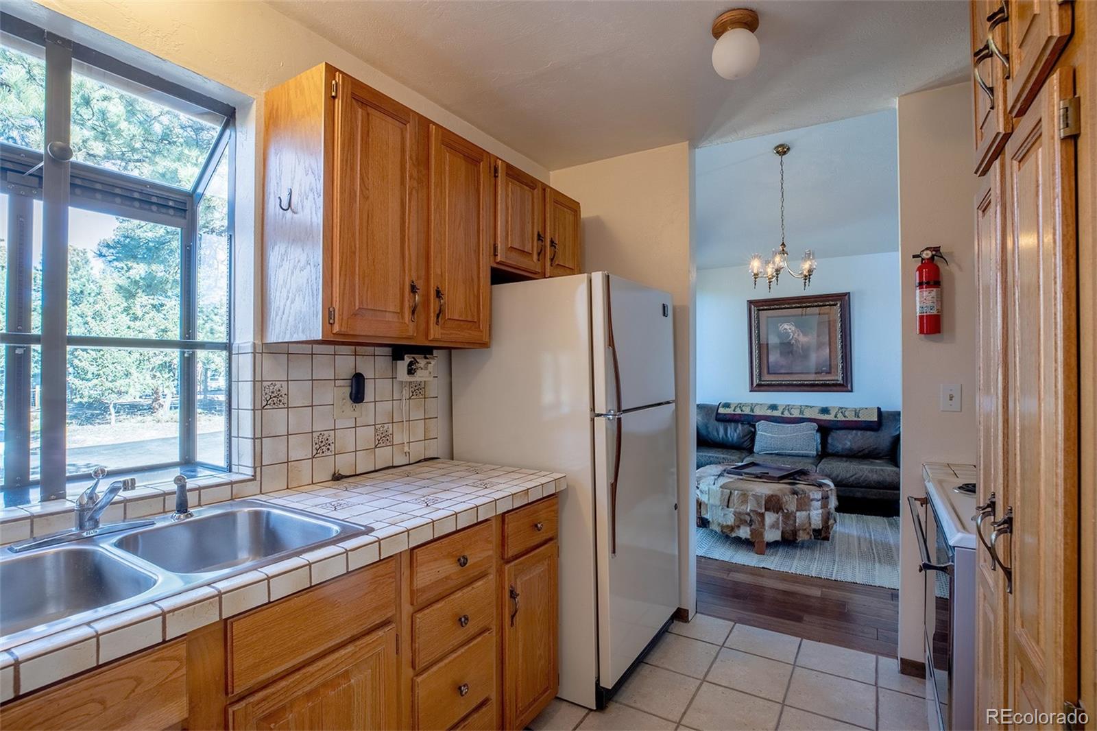 MLS Image #28 for 6997  skunk alley,evergreen, Colorado