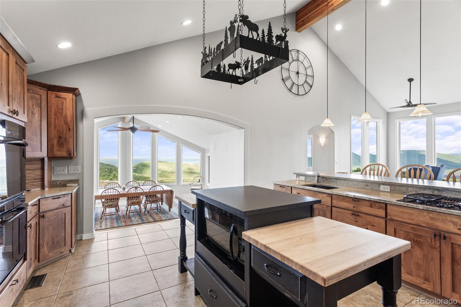 MLS Image #15 for 18844  ute vista trail,morrison, Colorado
