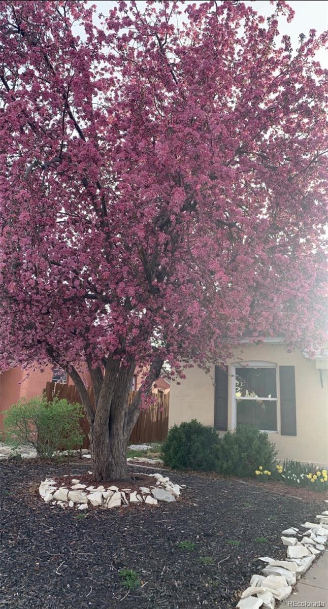 MLS Image #2 for 2223  pine street,pueblo, Colorado