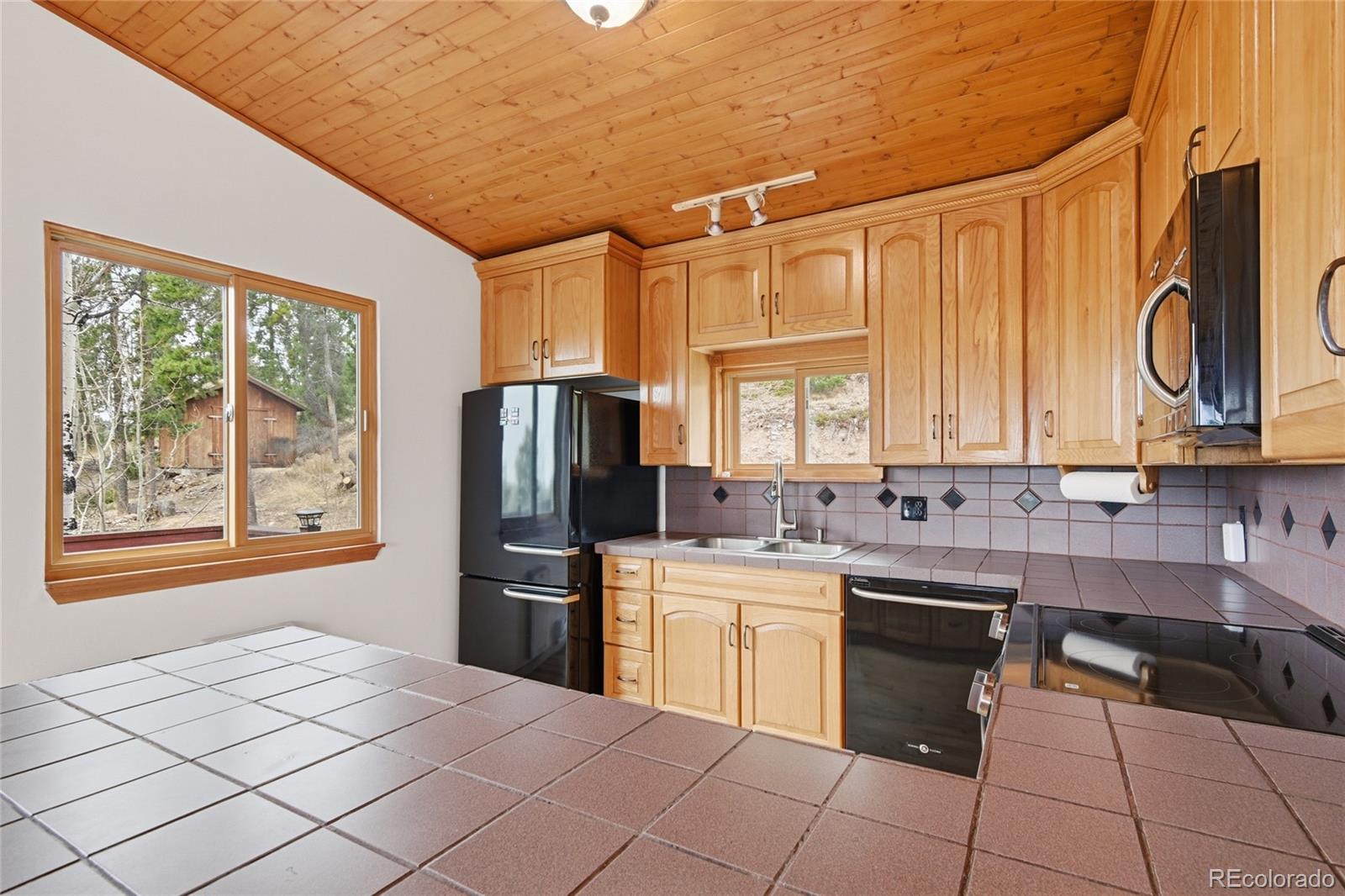 MLS Image #13 for 6928  weasel way,evergreen, Colorado