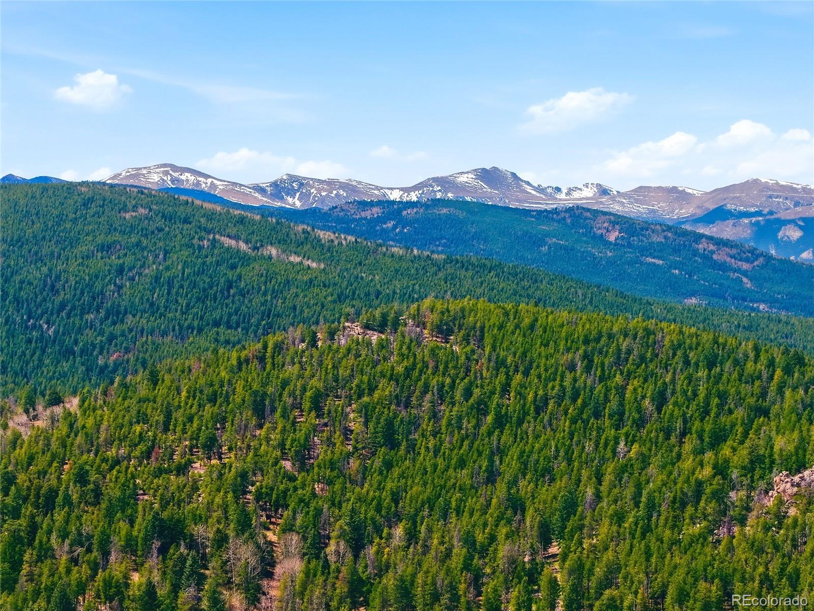 MLS Image #42 for 6928  weasel way,evergreen, Colorado