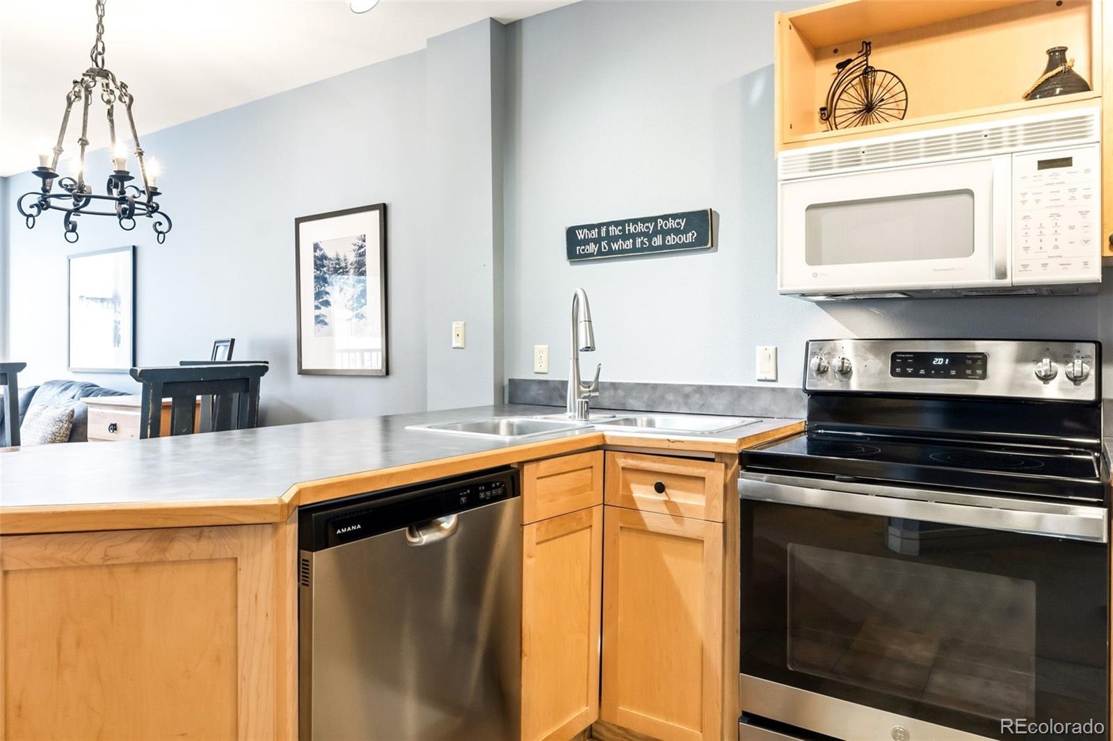 MLS Image #11 for 140  ida belle drive,keystone, Colorado