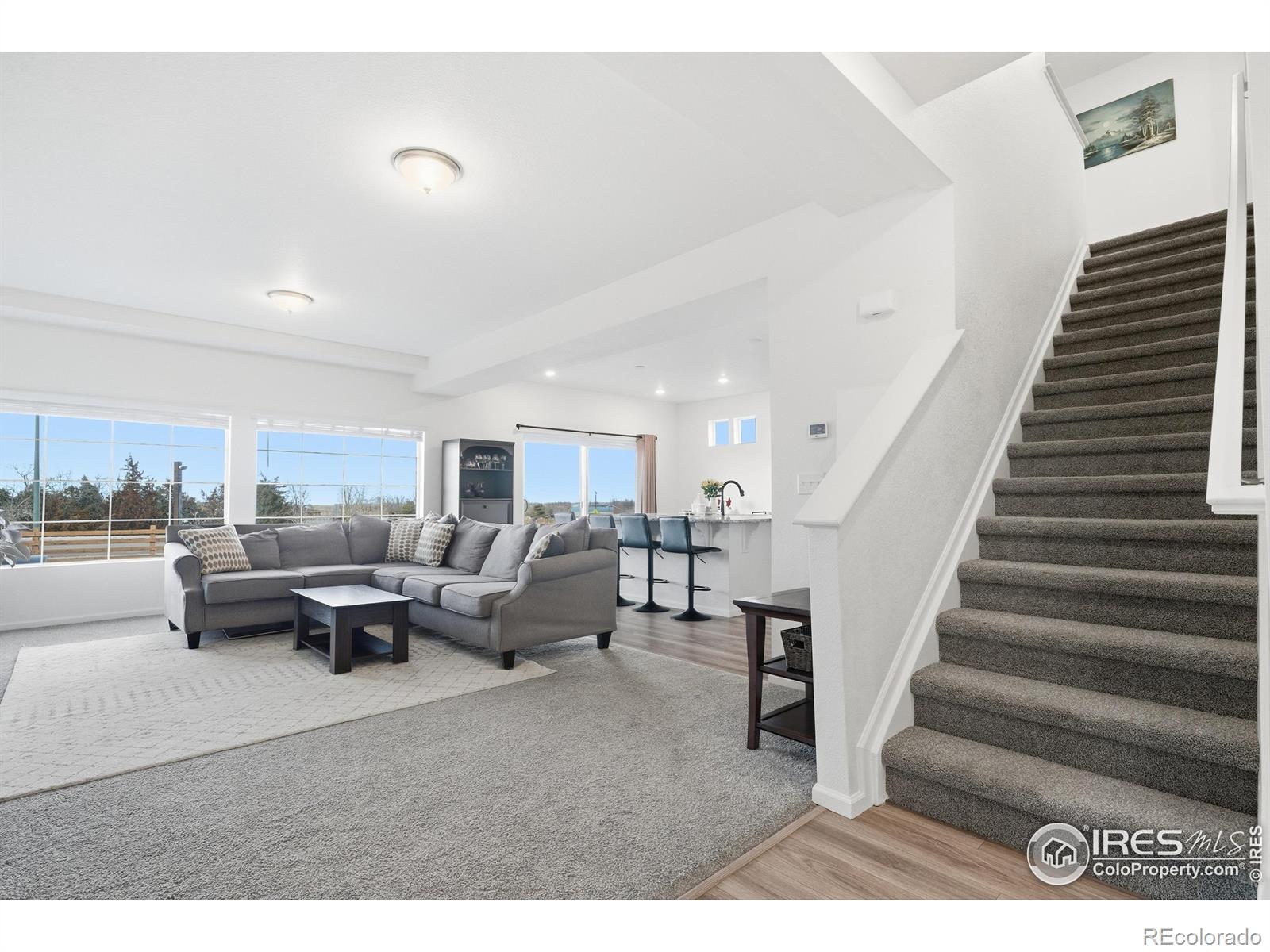 MLS Image #10 for 16541 e 111th drive,commerce city, Colorado