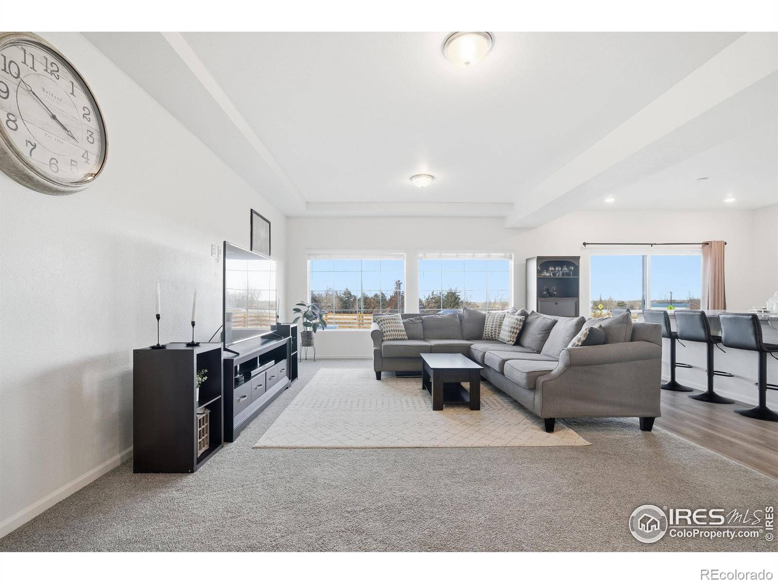 MLS Image #11 for 16541 e 111th drive,commerce city, Colorado