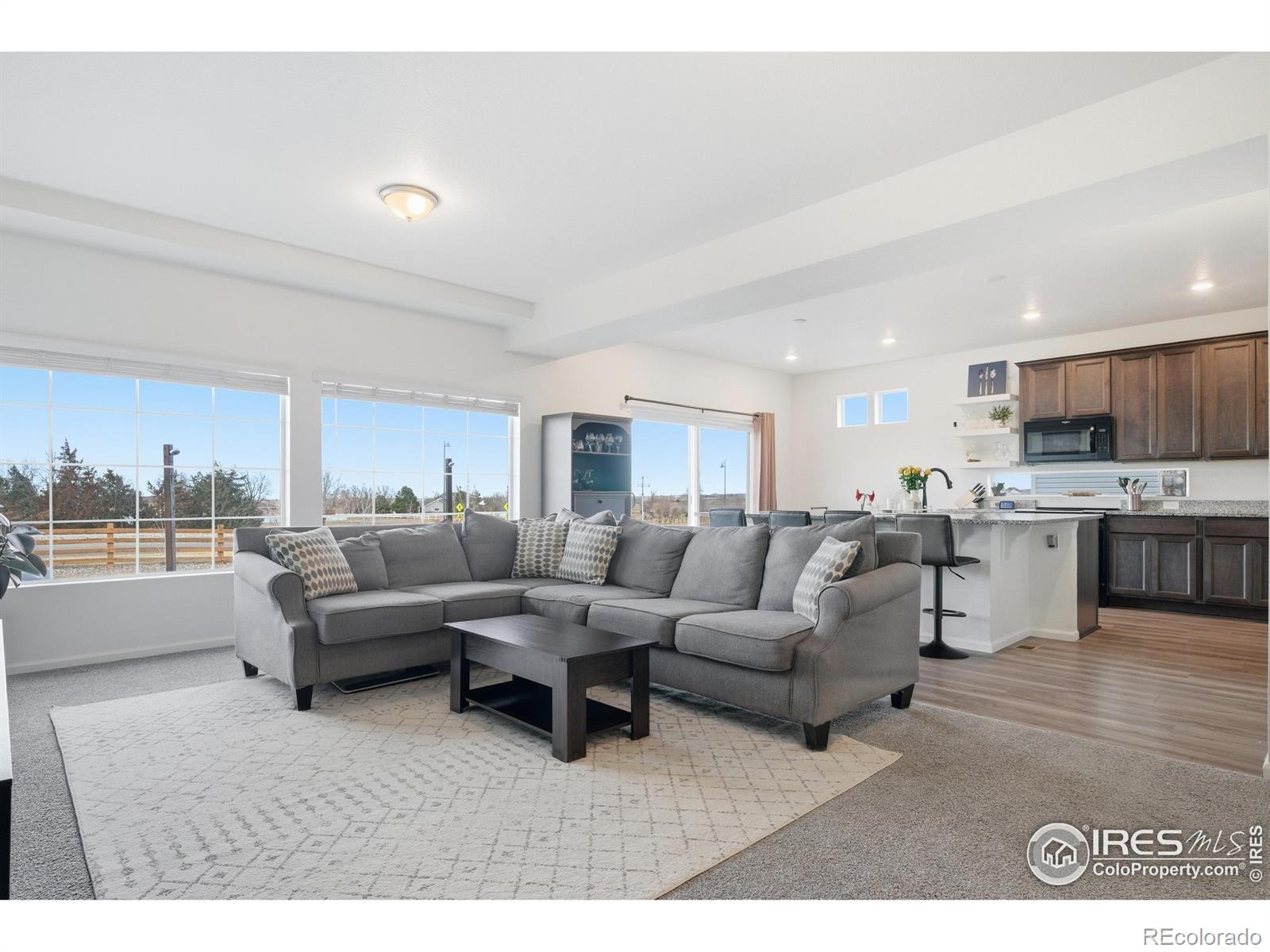 MLS Image #12 for 16541 e 111th drive,commerce city, Colorado