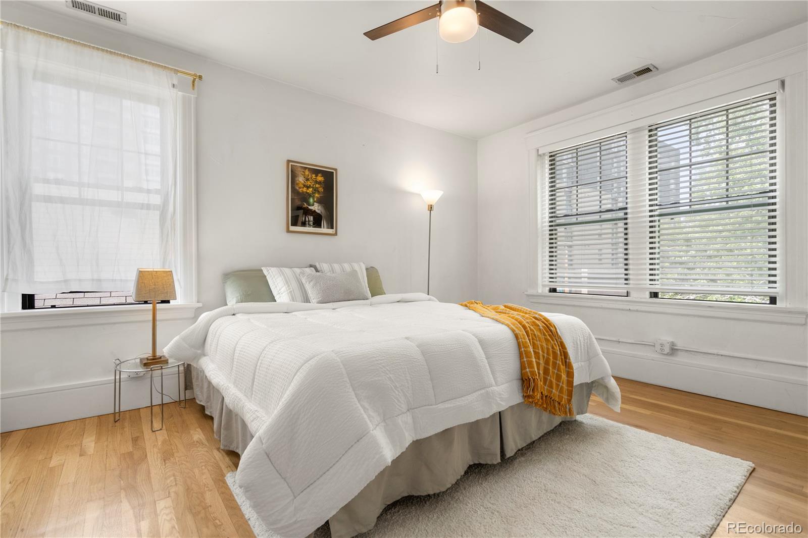 MLS Image #10 for 740 n sherman street,denver, Colorado