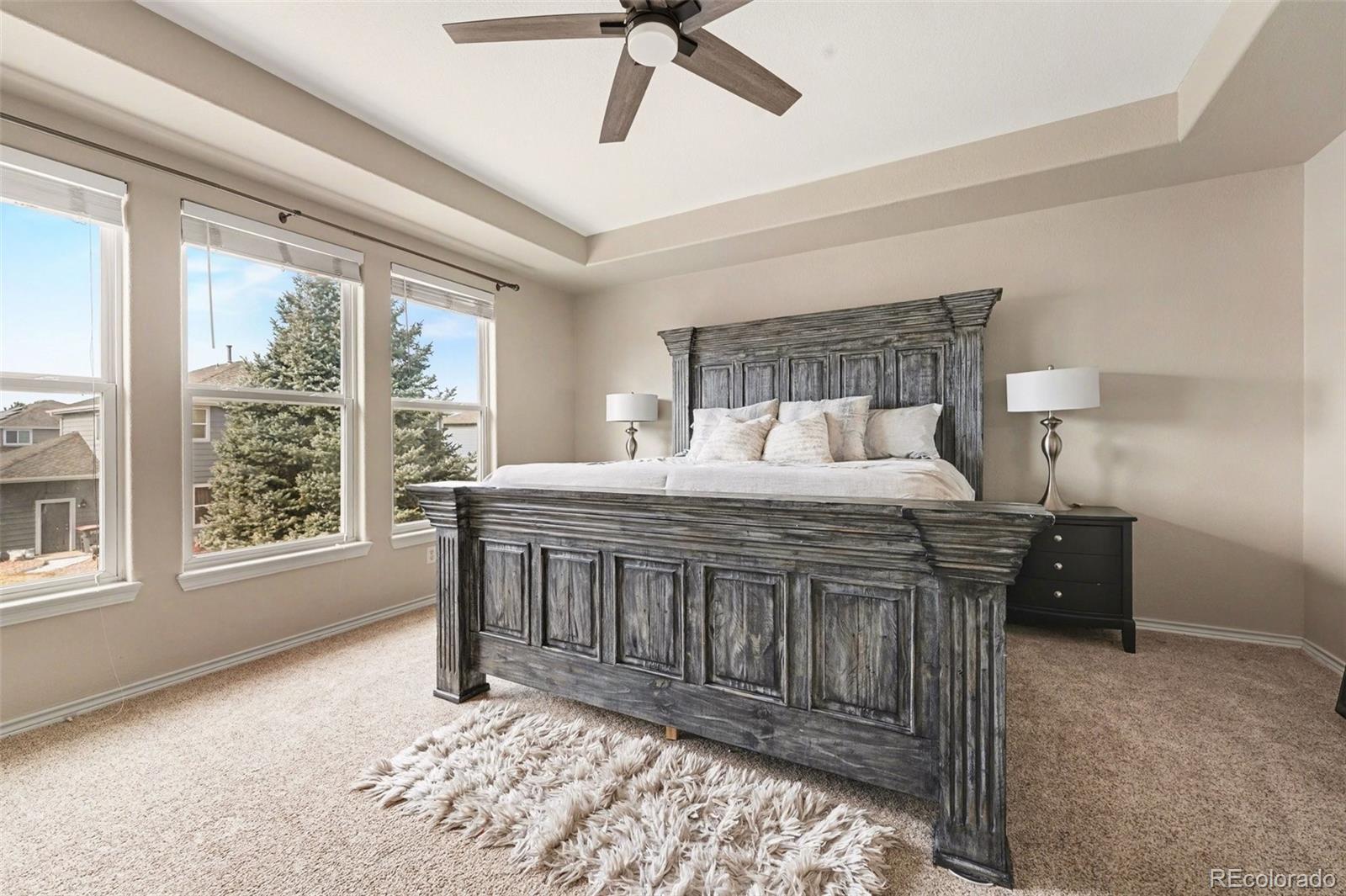 MLS Image #15 for 10635  clarke farms drive,parker, Colorado