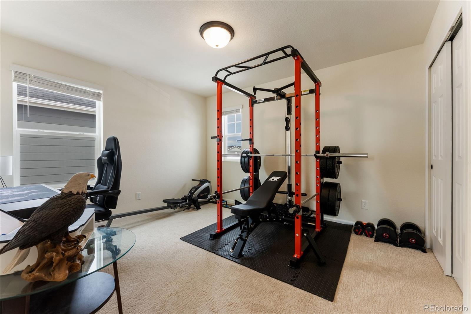MLS Image #20 for 6229  bodacious circle,colorado springs, Colorado