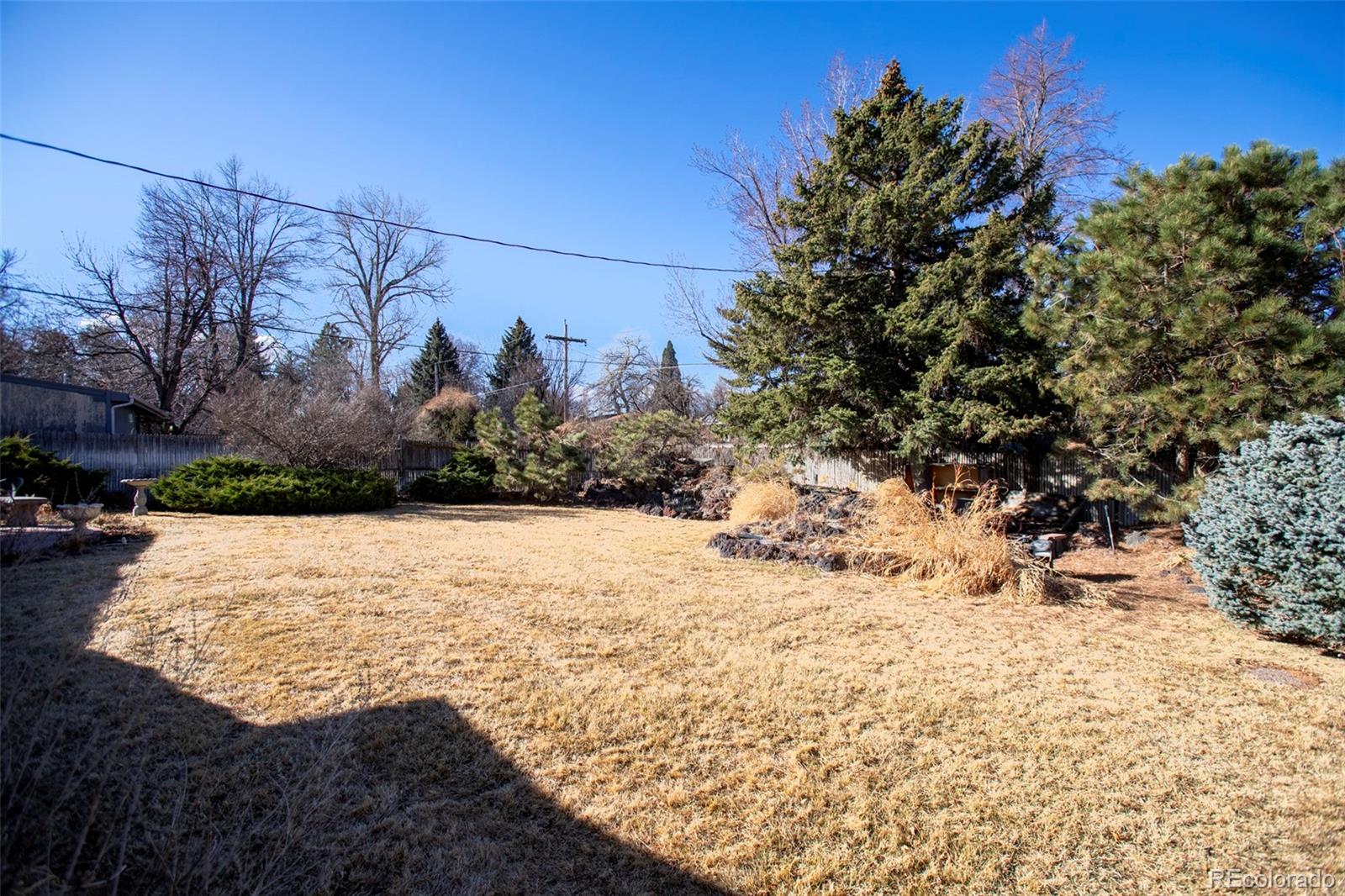 MLS Image #7 for 3375  garland street,wheat ridge, Colorado