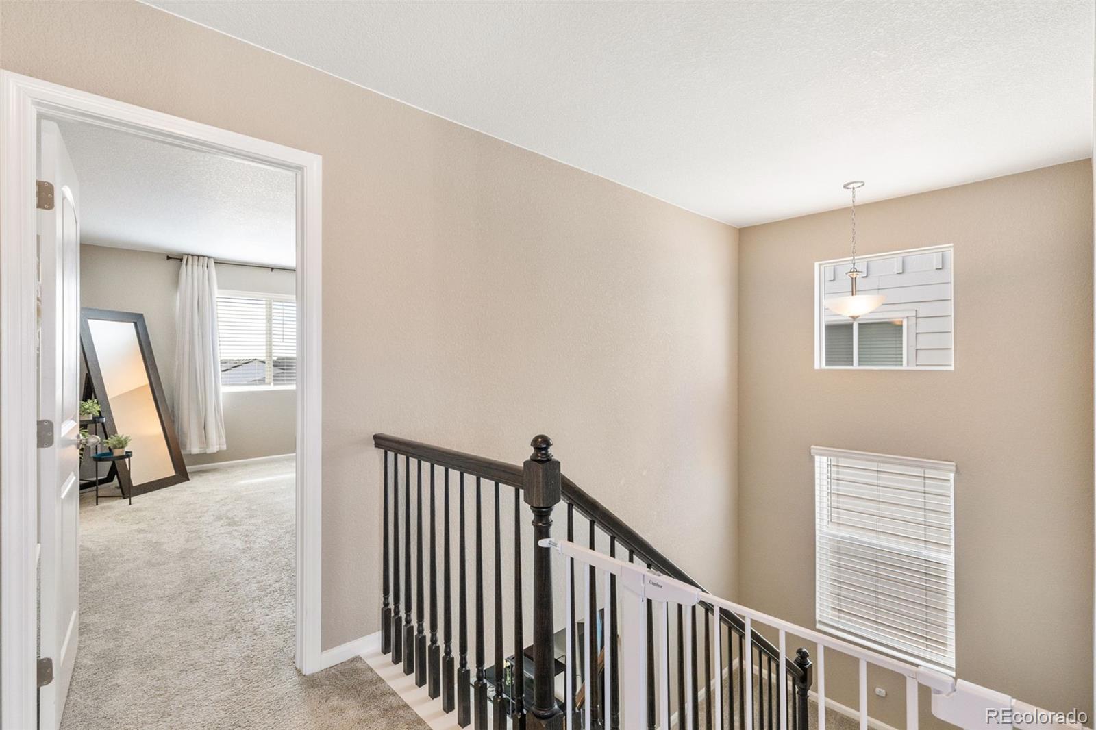MLS Image #19 for 6372  bodacious circle,colorado springs, Colorado
