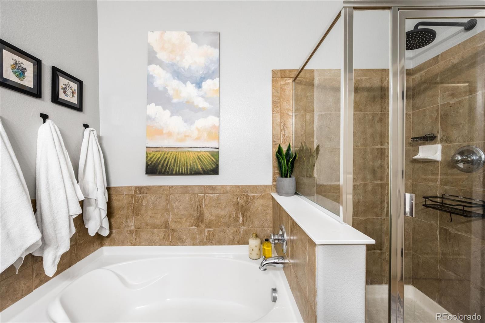 MLS Image #19 for 24573 e hoover place,aurora, Colorado