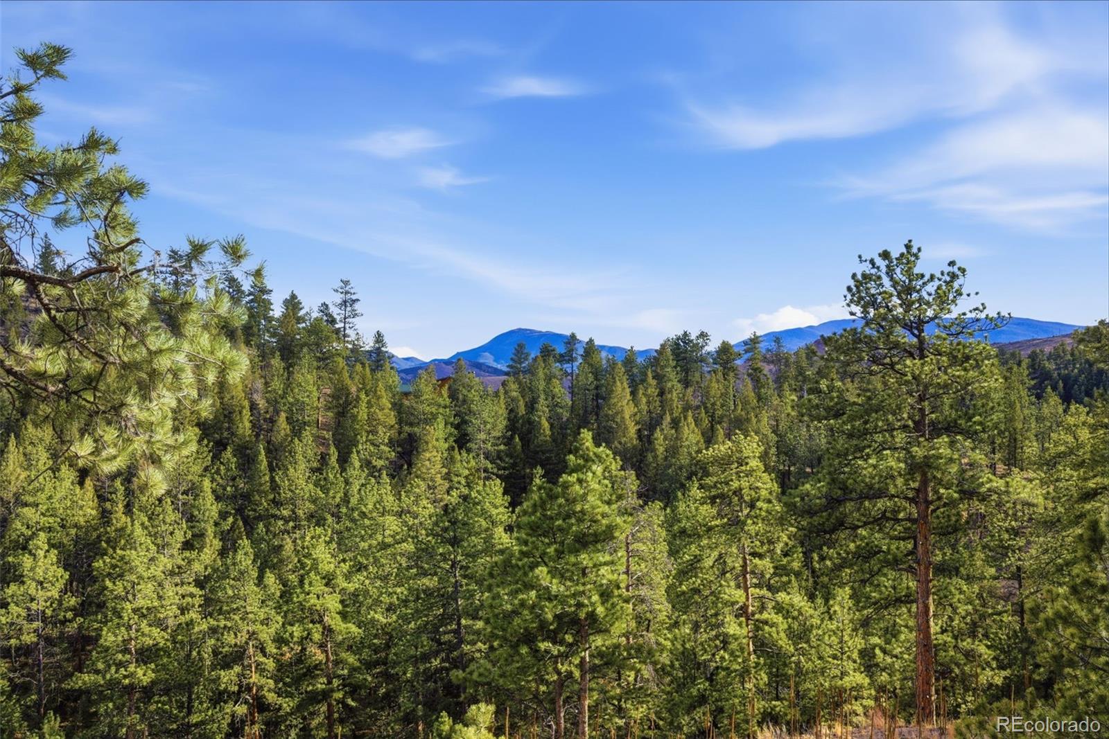 MLS Image #20 for 31455  half peak trail,pine, Colorado