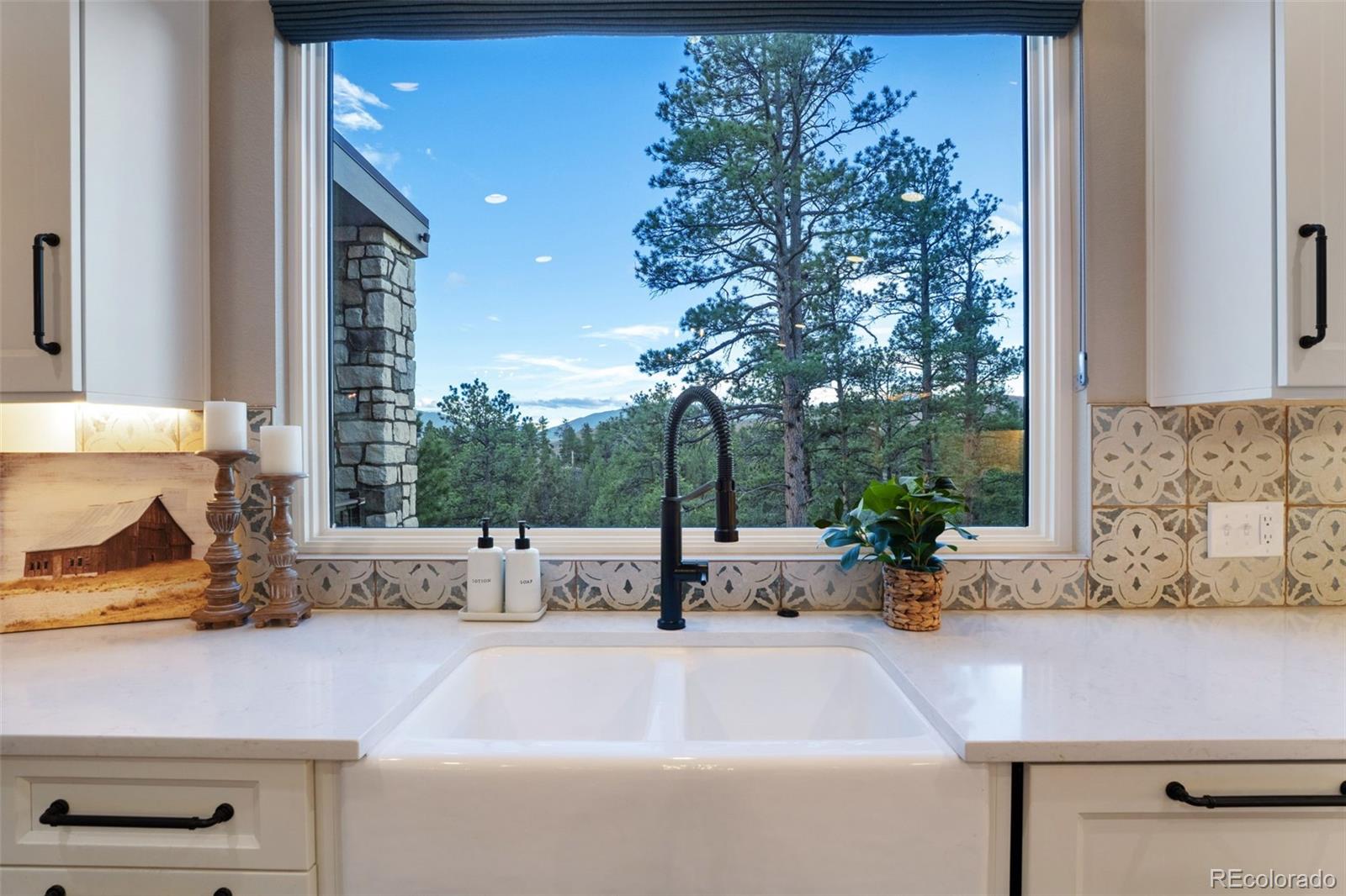 MLS Image #21 for 31455  half peak trail,pine, Colorado