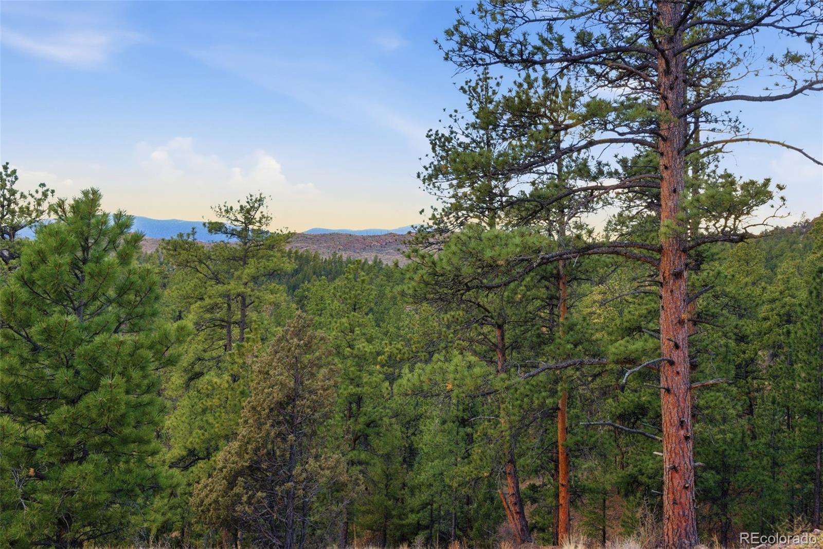 MLS Image #43 for 31455  half peak trail,pine, Colorado