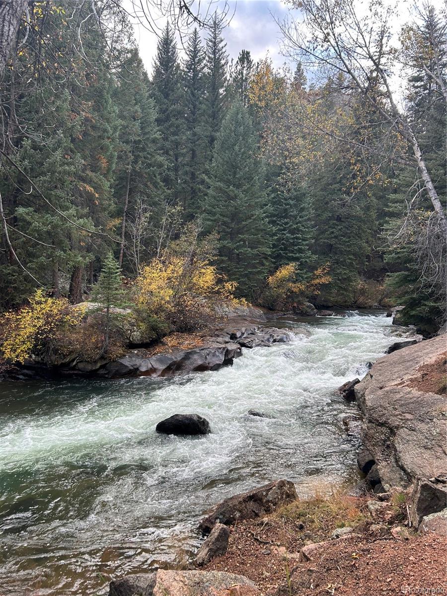 MLS Image #48 for 31455  half peak trail,pine, Colorado