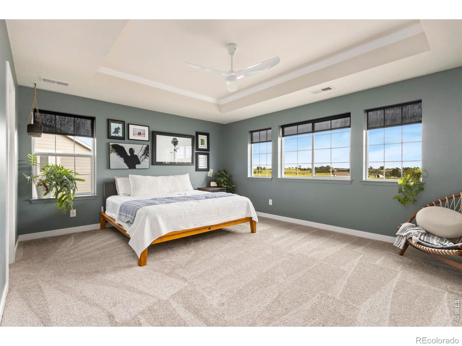 MLS Image #8 for 2936  fractus street,timnath, Colorado