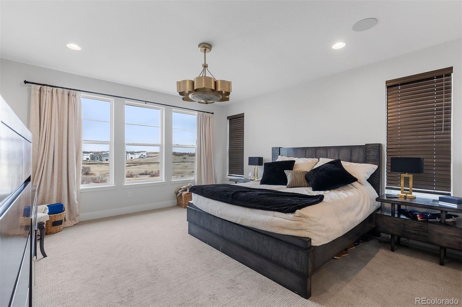 MLS Image #13 for 7077  copper sky circle,castle pines, Colorado