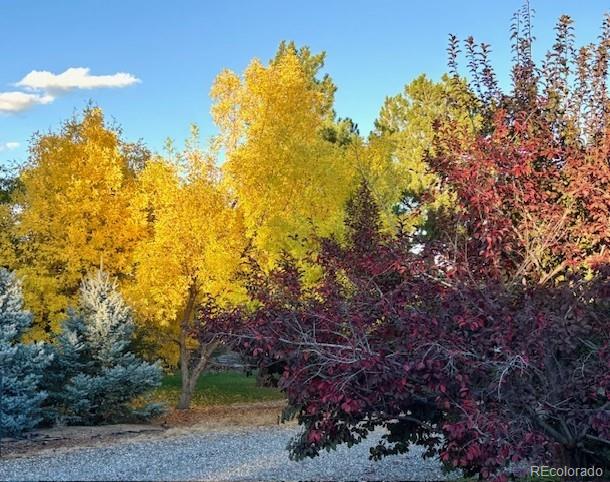 MLS Image #44 for 5041  juniper street,littleton, Colorado