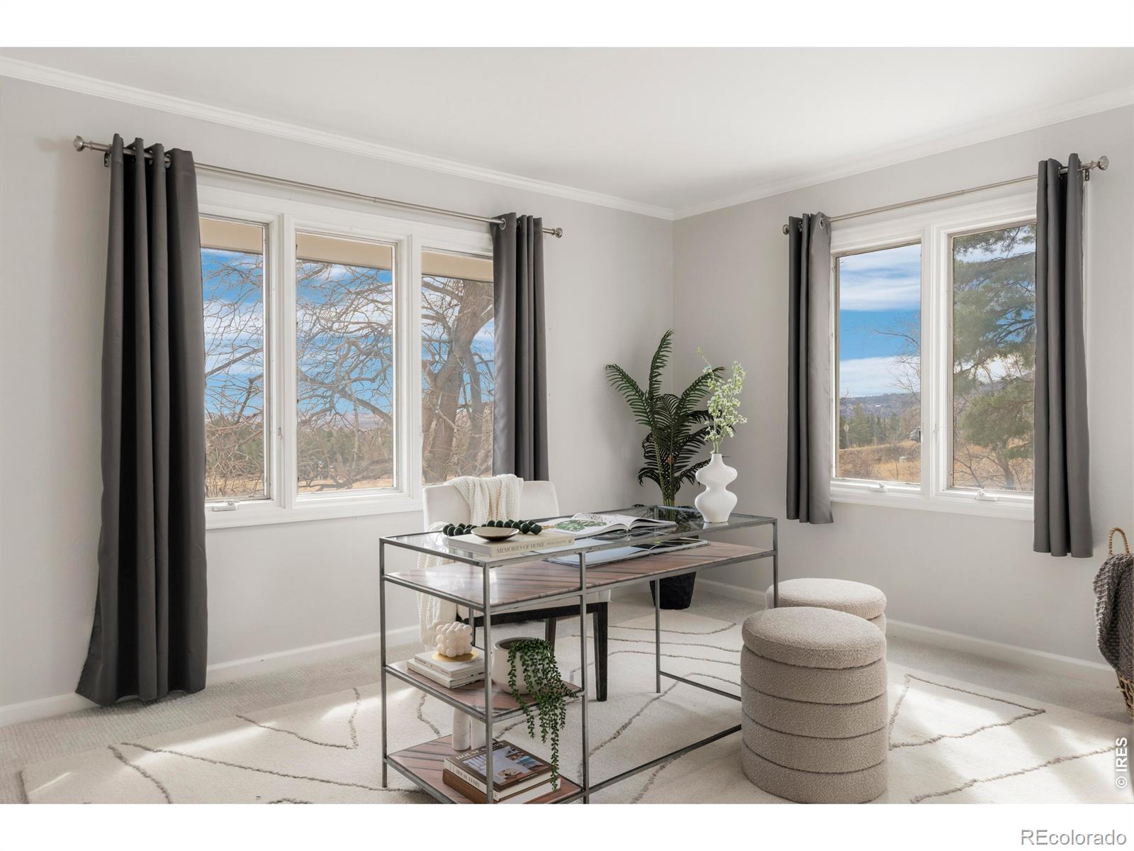 MLS Image #13 for 3735  wild plum court,boulder, Colorado