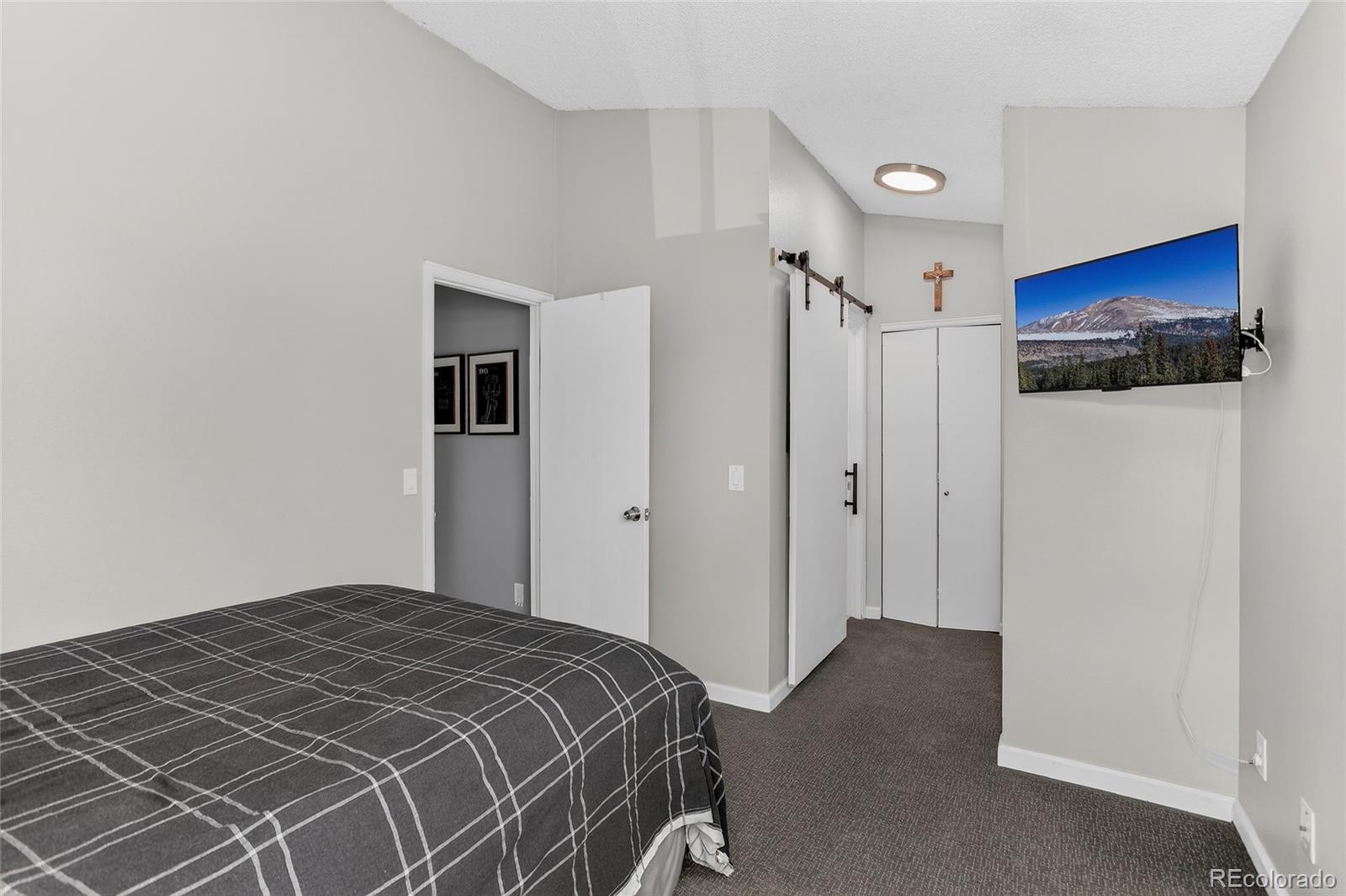 MLS Image #10 for 889  summer drive,highlands ranch, Colorado