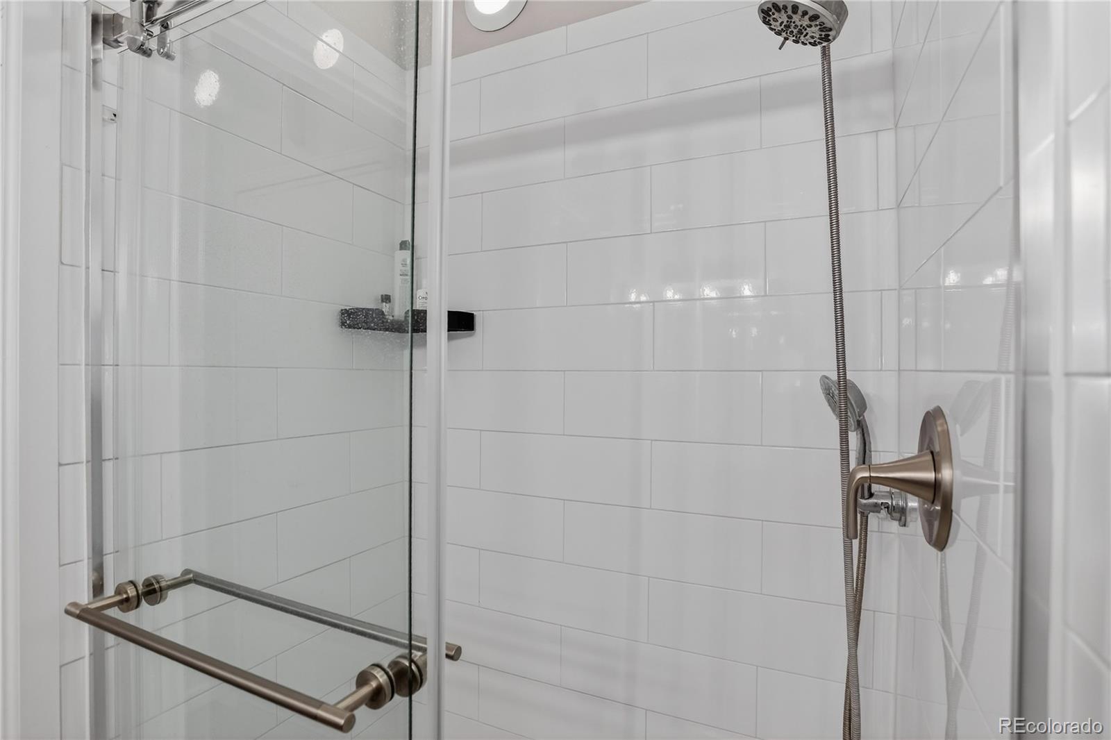 MLS Image #21 for 889  summer drive,highlands ranch, Colorado