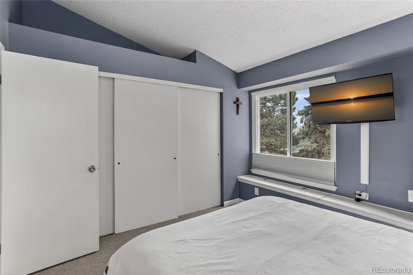 MLS Image #6 for 889  summer drive,highlands ranch, Colorado
