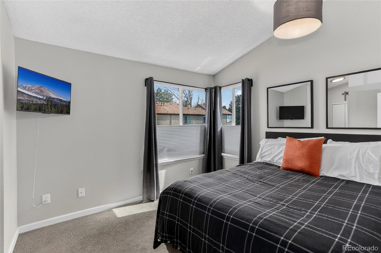 MLS Image #7 for 889  summer drive,highlands ranch, Colorado