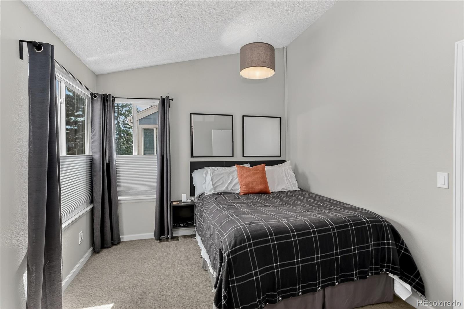 MLS Image #8 for 889  summer drive,highlands ranch, Colorado